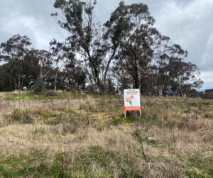 Buckland Drive, Orange
